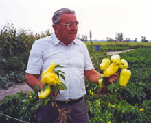 Balatincz Eszter